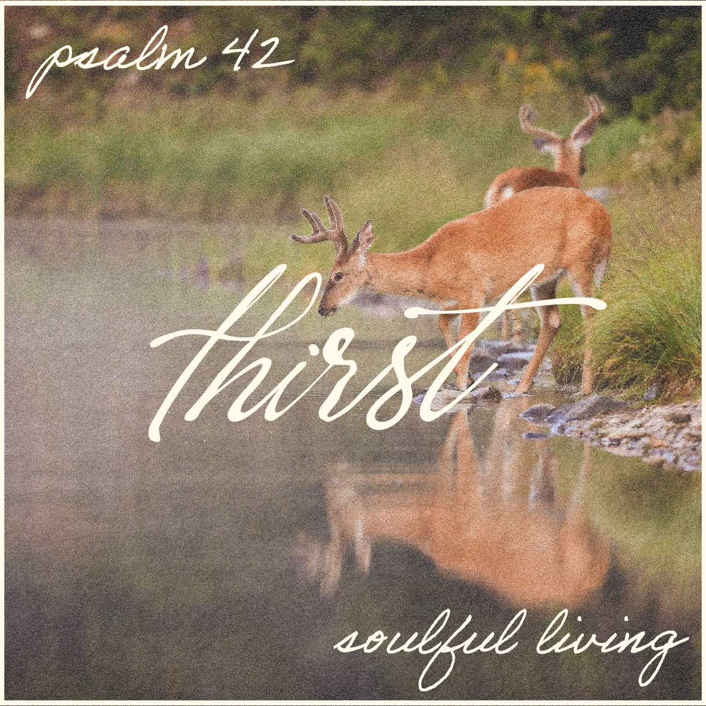 The Soul Believes episode artwork