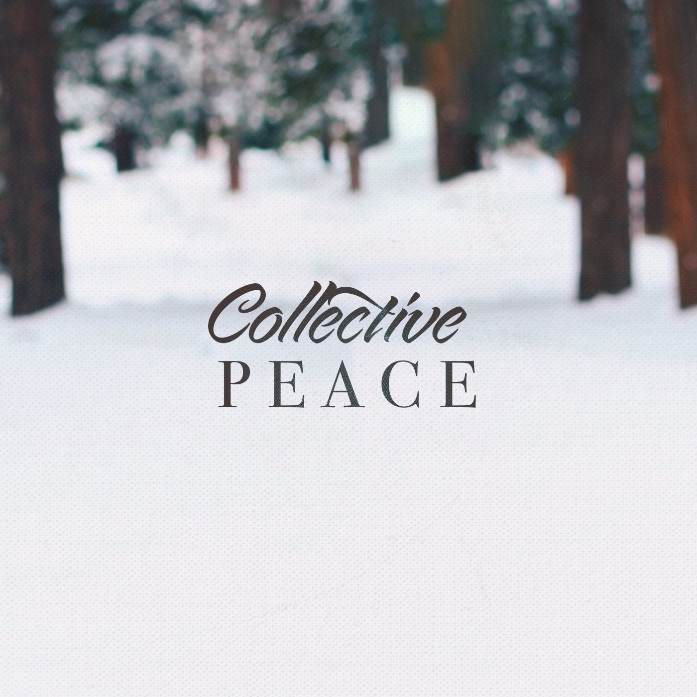 Collective Peace episode artwork