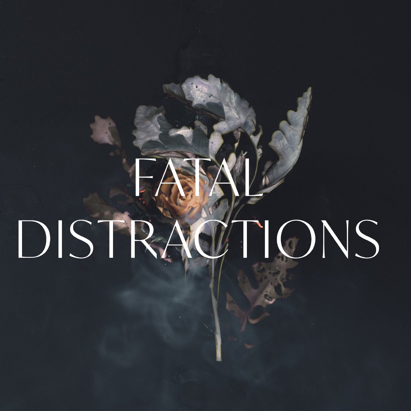 Fatal Distractions