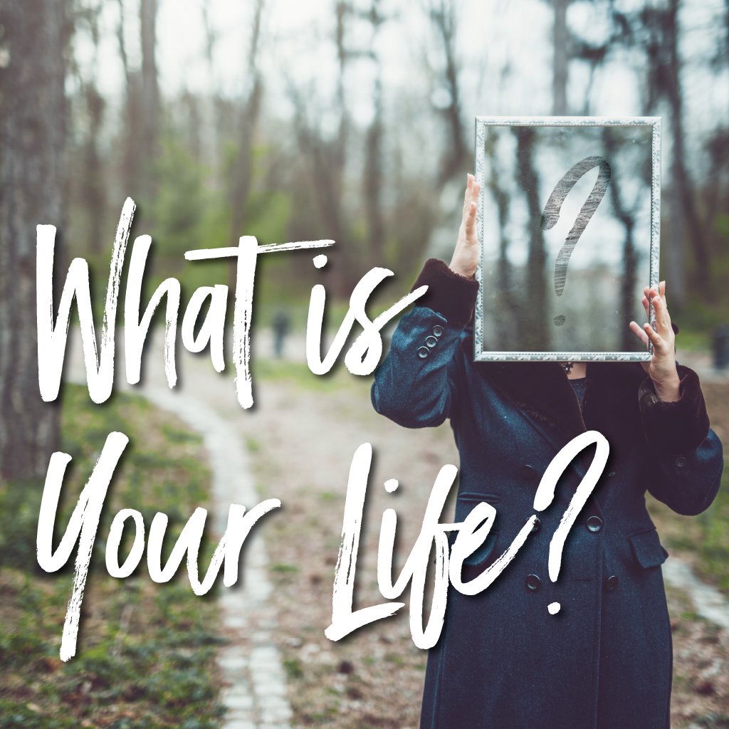 What is Your Life? episode artwork