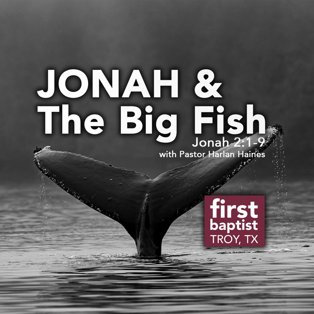 10.08.23 - Jonah and the Big Fish episode artwork