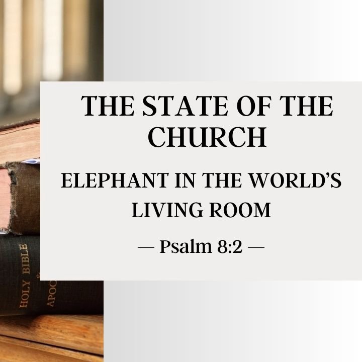 Elephant in the Worlds Living Room | The State of the Church 2015 episode artwork