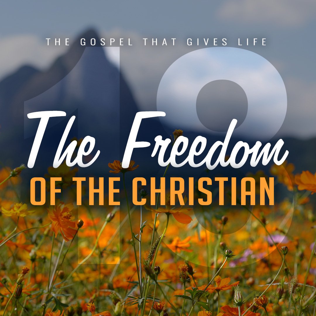 The Freedom of the Christian