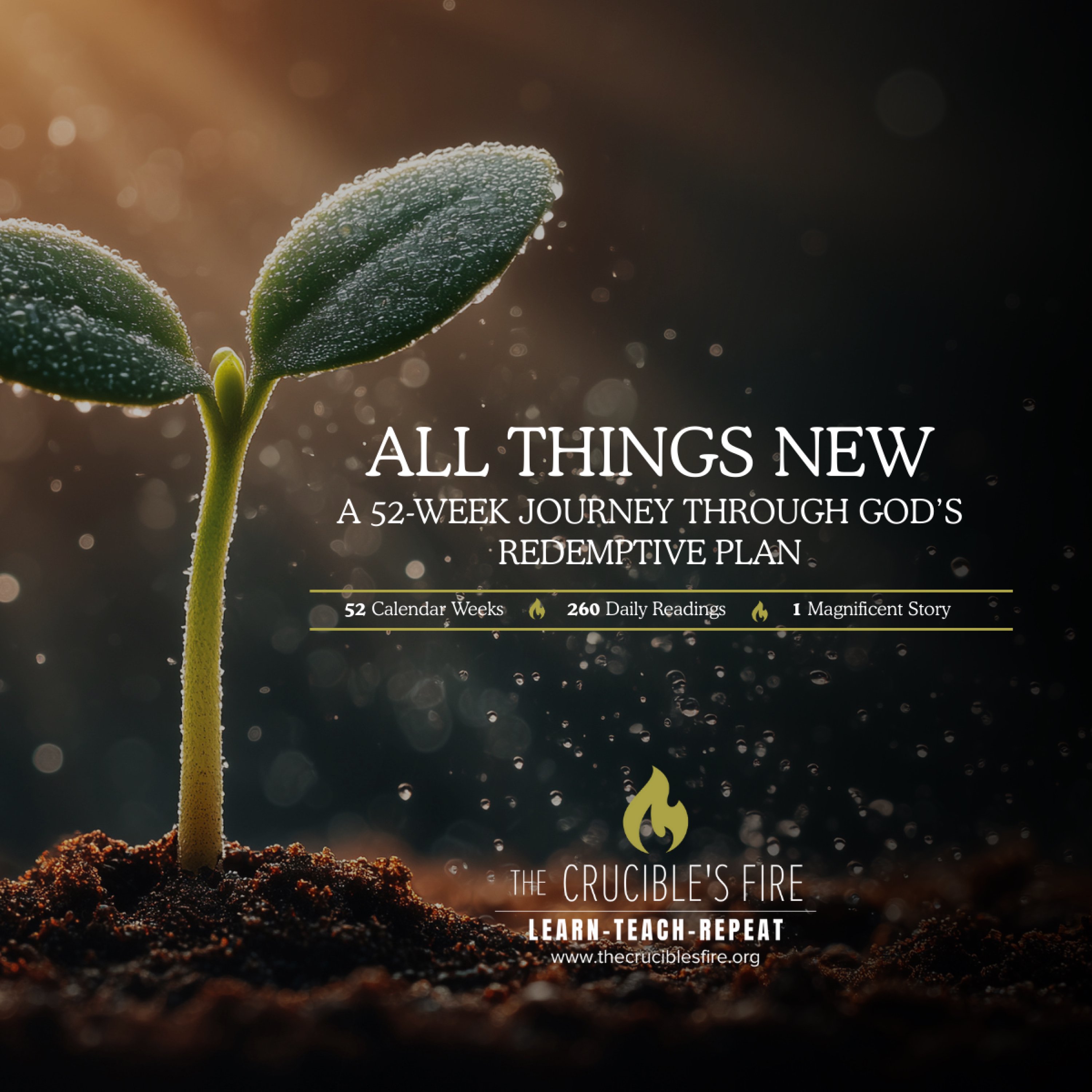 All Things New Devotional Series cover art