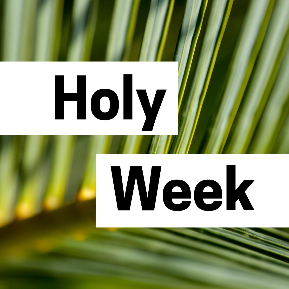 Encounter | The City Church Resource Podcast