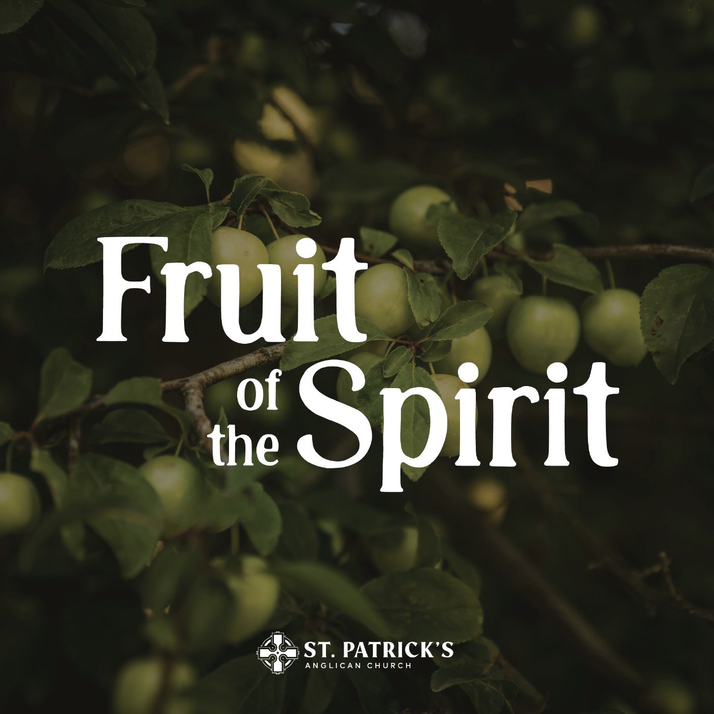 St. Patrick\'s Anglican Church