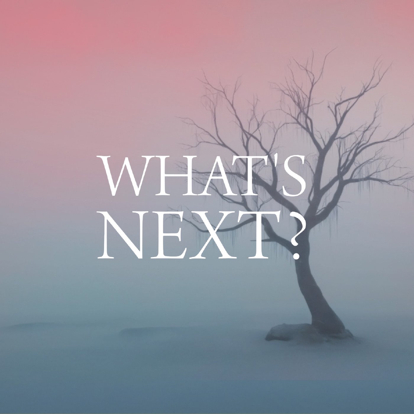 What's Next? Part 4