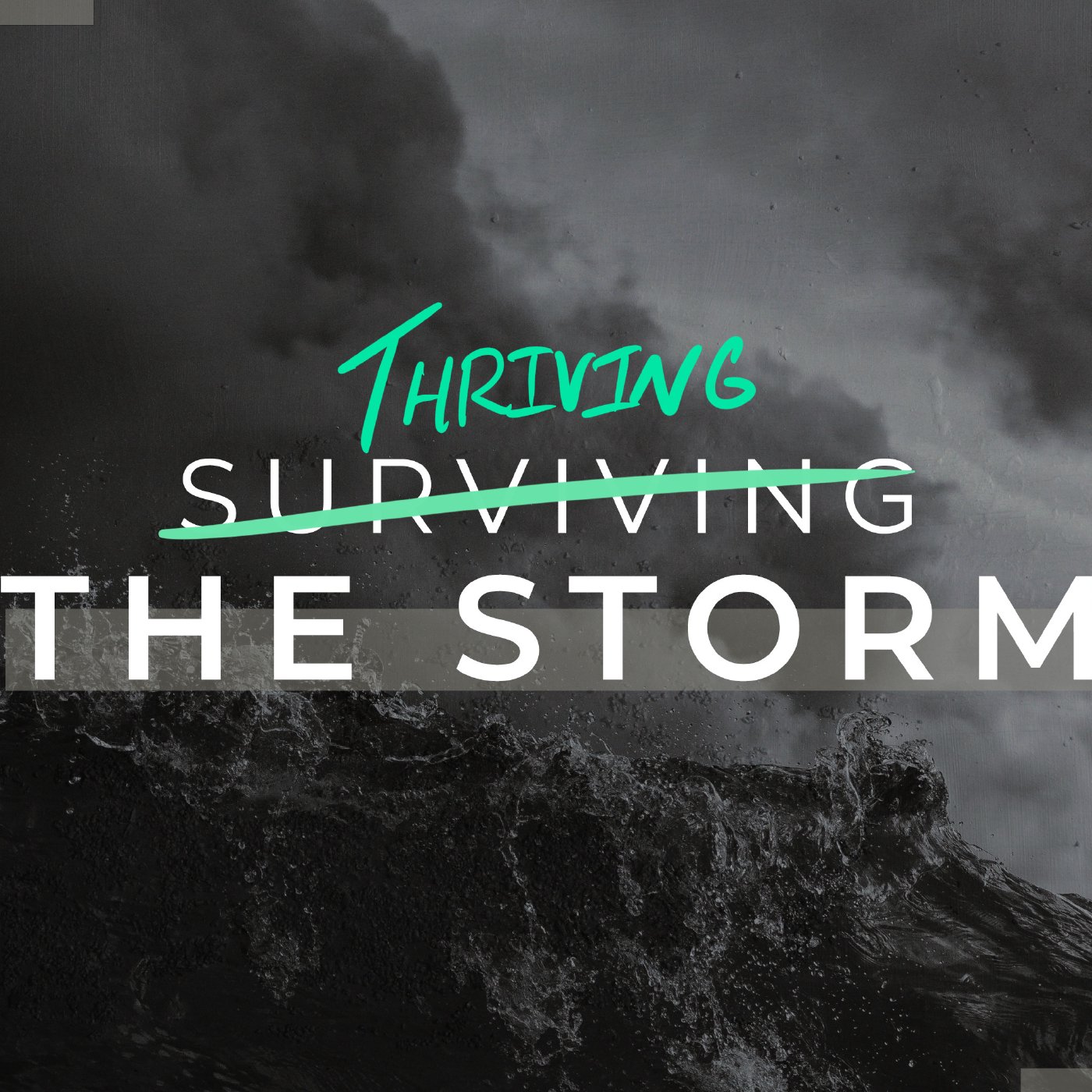 Thriving The Storm: Will I Wait?