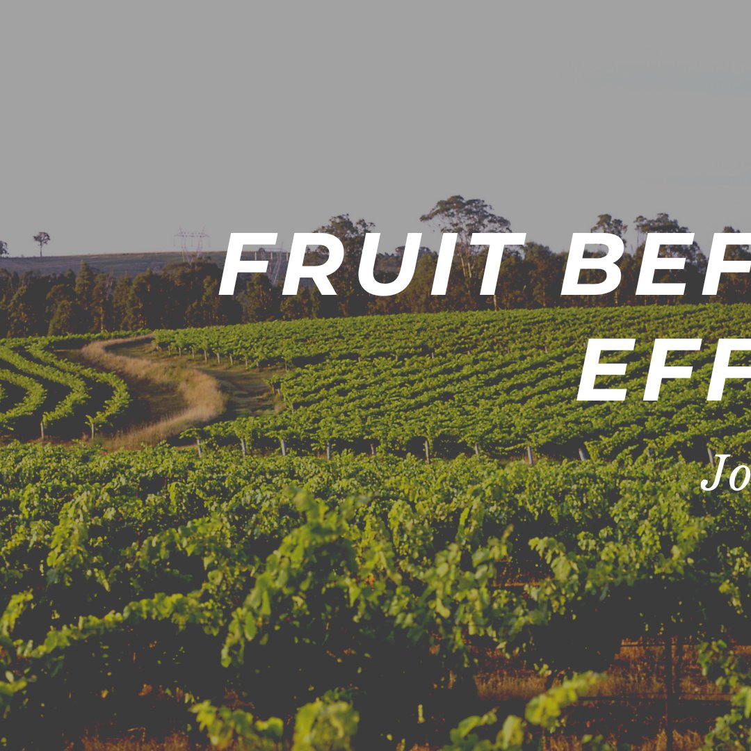 Fruit Before Effort - Week 2 episode artwork