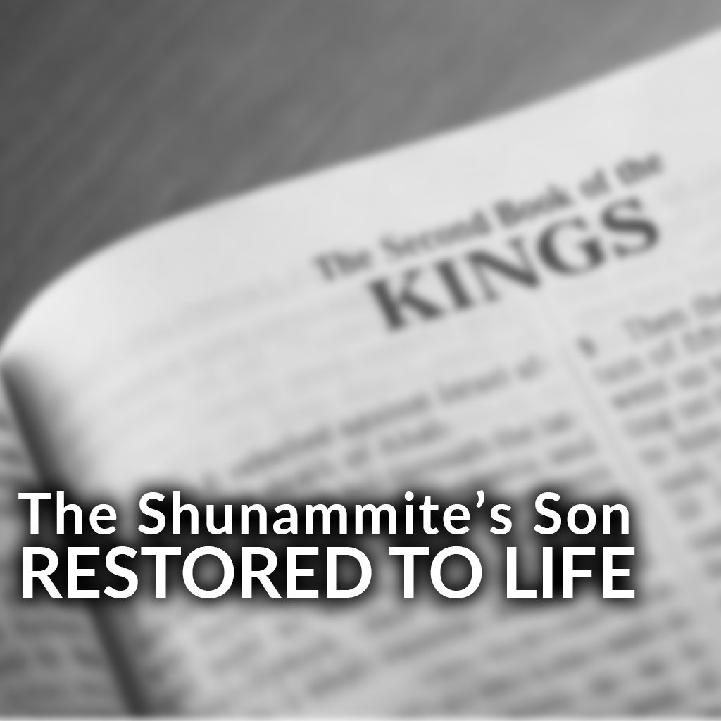 The Shunnamite's Son Restored to Life episode artwork