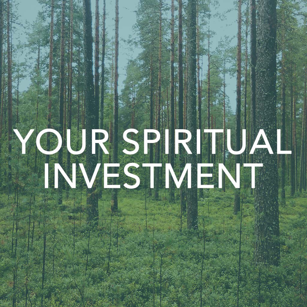Your Spiritual Investment episode artwork