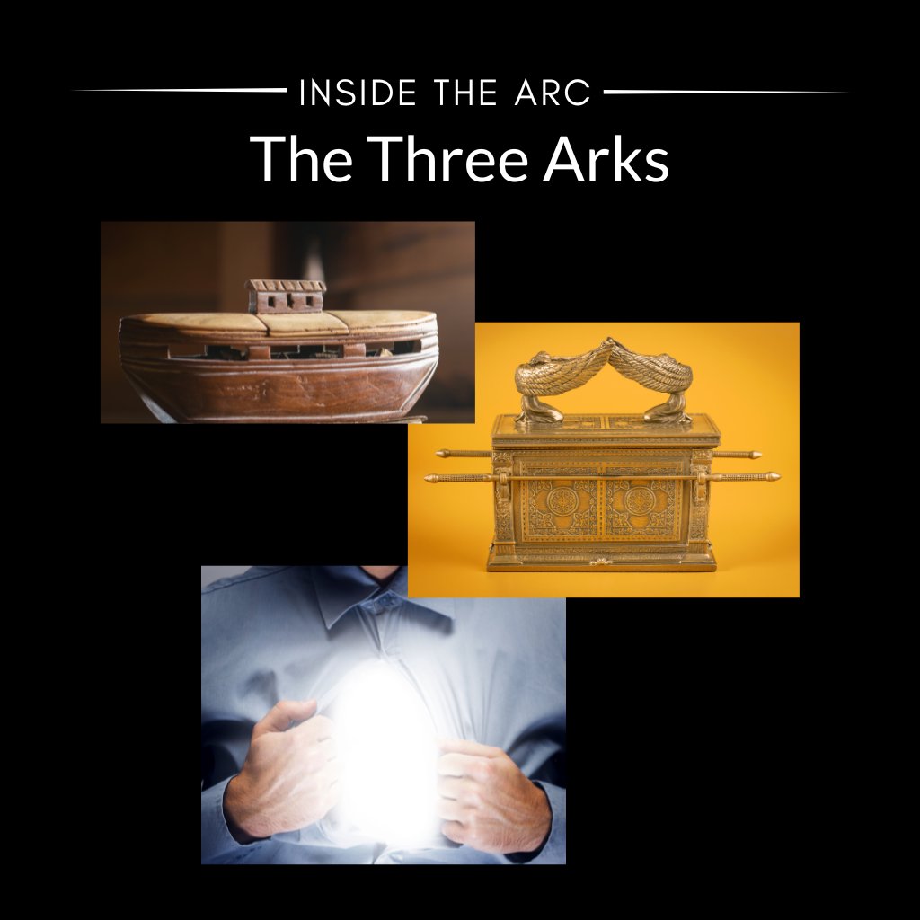 INSIDE THE ARC