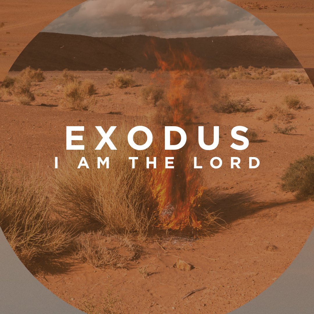 Signs of Strength – Exodus 7:1-10:29