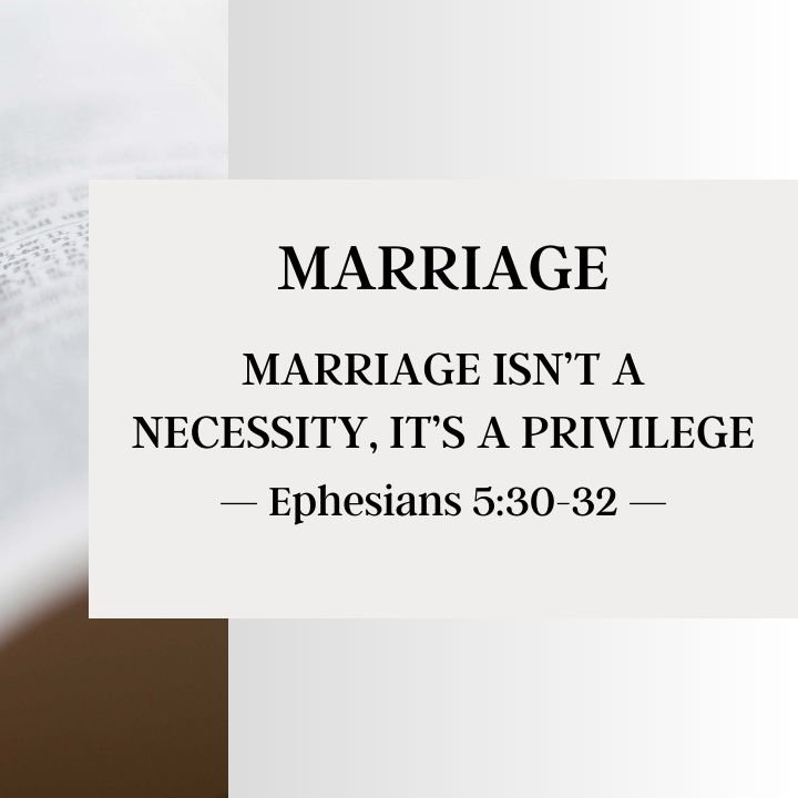 Marriage Isn't a Necessity, Its a Privilege | Marriage 2014 episode artwork