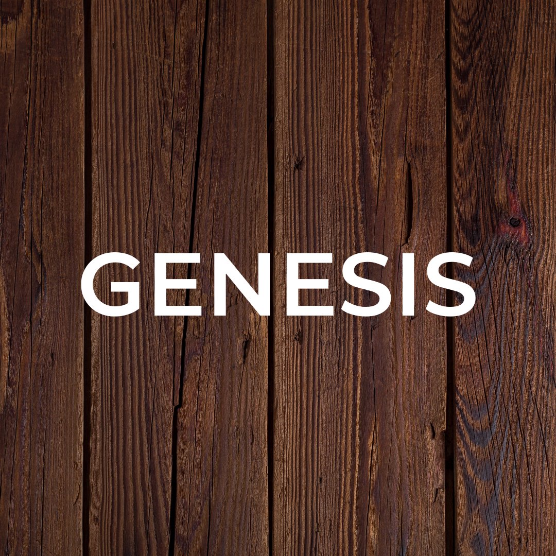 Genesis 19 episode artwork