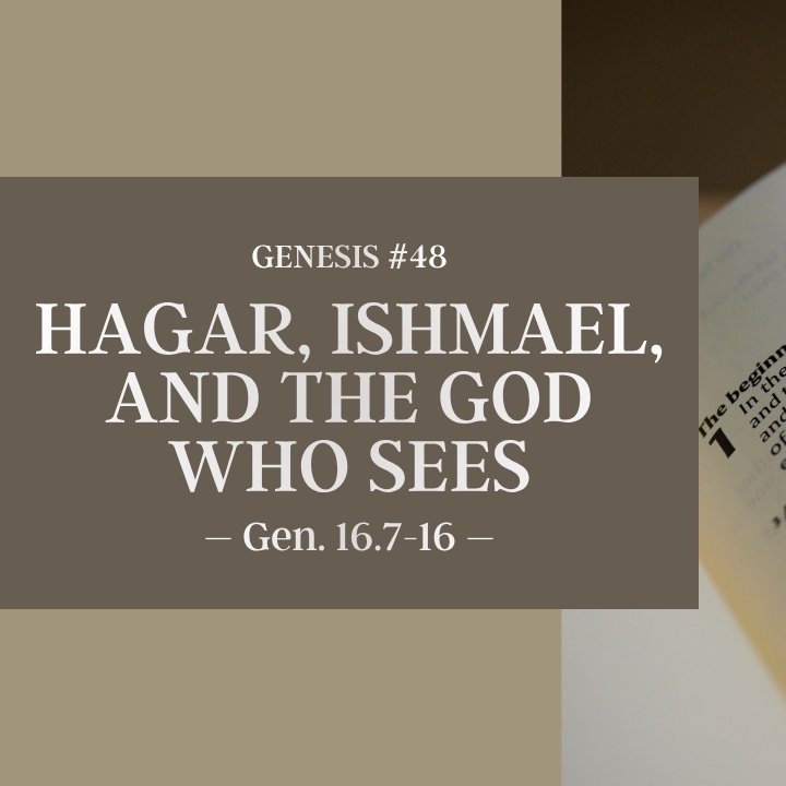 Hagar, Ishmael, and the God who Sees | Genesis #48 episode artwork