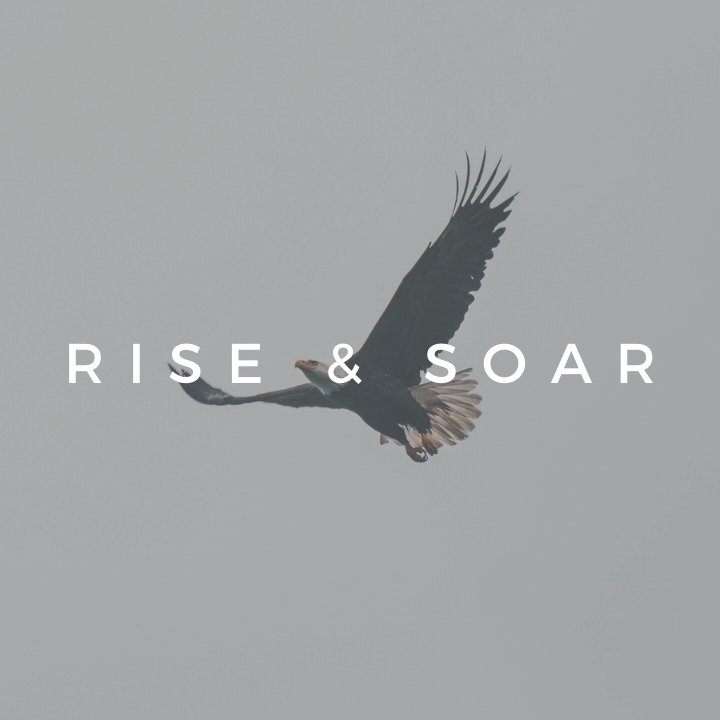 RISE and SOAR episode artwork