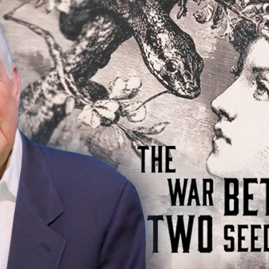 The War Between Two Seeds The War Between Two Seeds