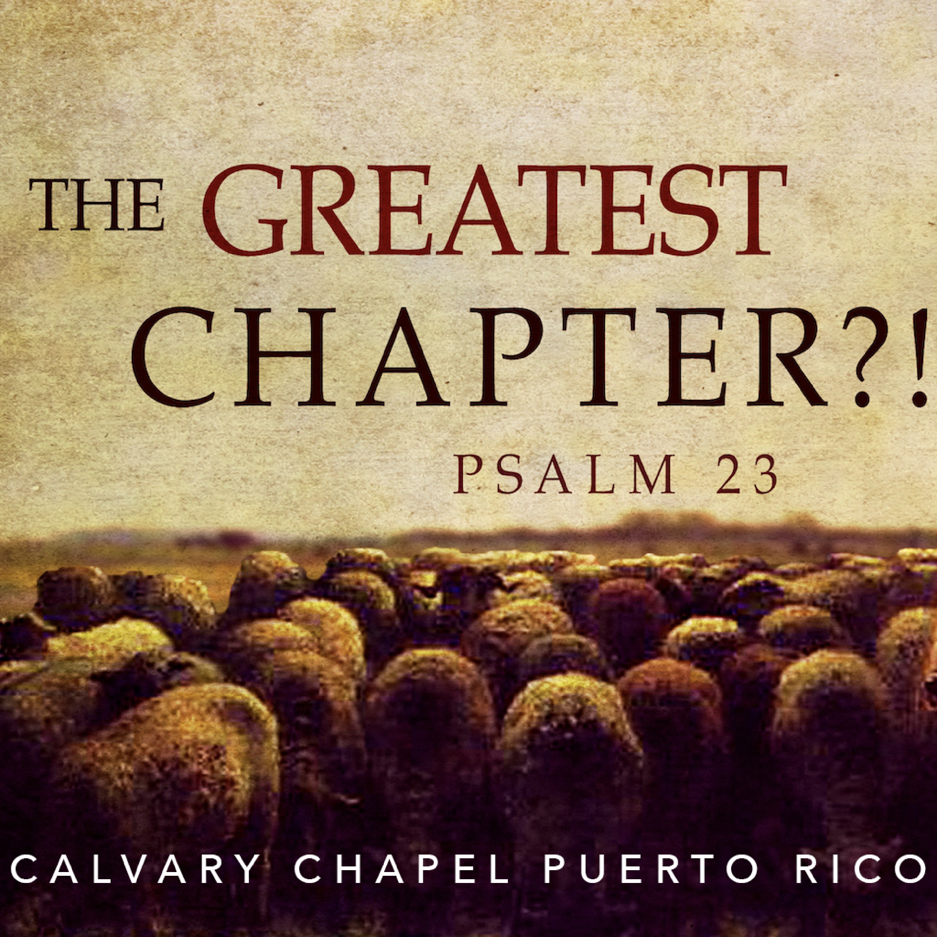 Psalm 23 - A Verse by verse study through Psalm 23