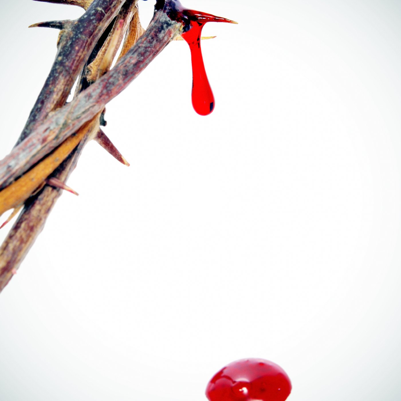 .::Predicaciones - Estudios Biblicos - Sermon::. ~