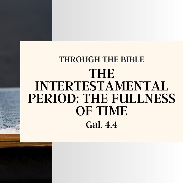 The Intertestamental Period: The Fullness of Time | Through the Bible episode artwork