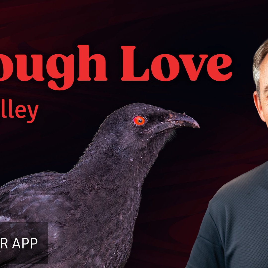 Called to be a Church | David Alley | 5th October 2025