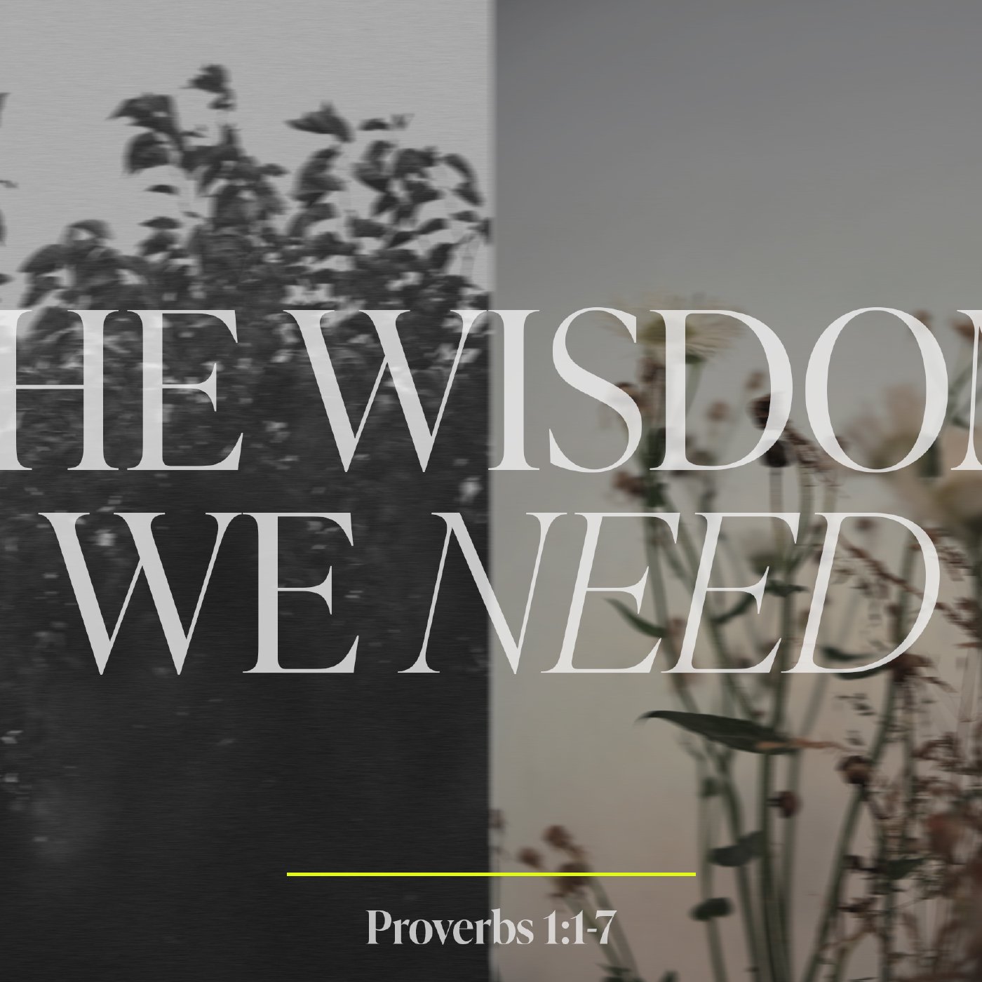 The Wisdom We Need - Proverbs 1:1-7 episode artwork