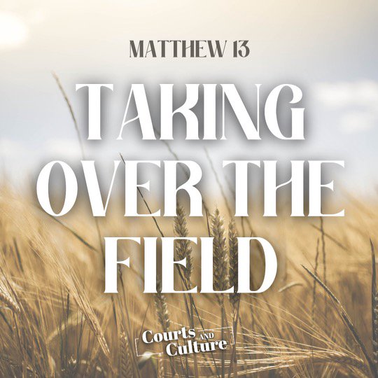 Taking Over The Field episode artwork