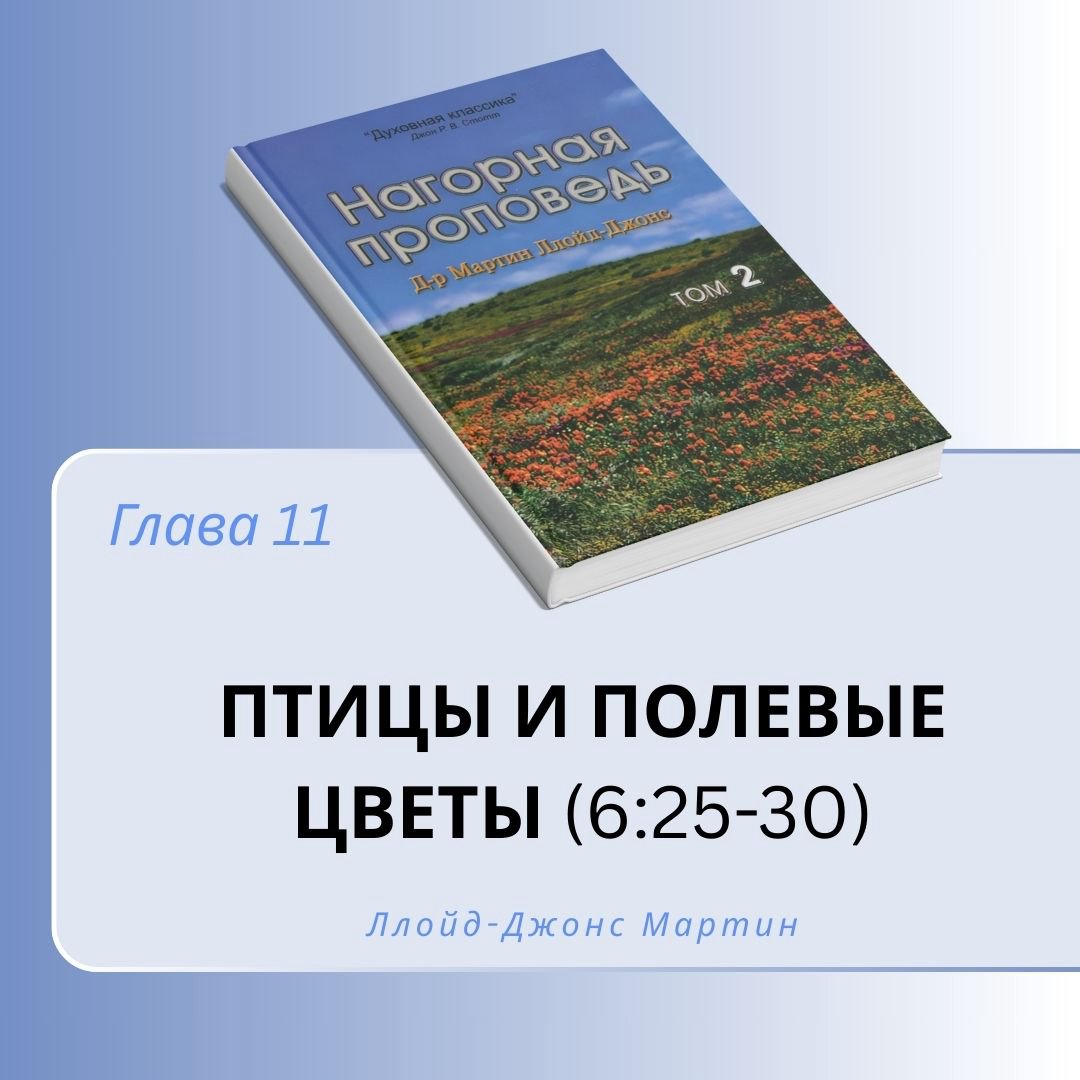 11. Птицы и полевые цветы — Д-р Мартин Ллойд-Джонс