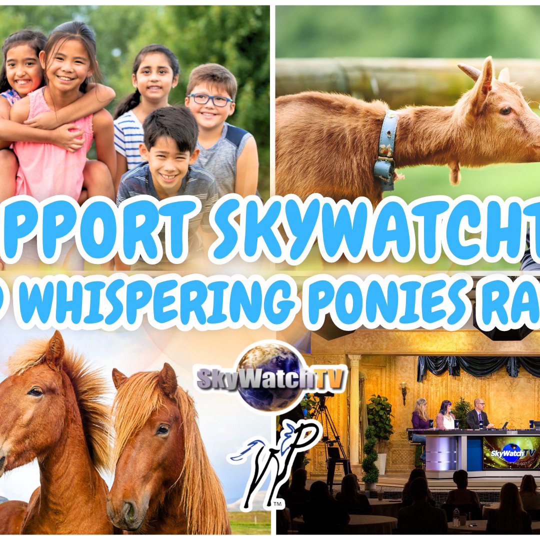 SkyWatchTV