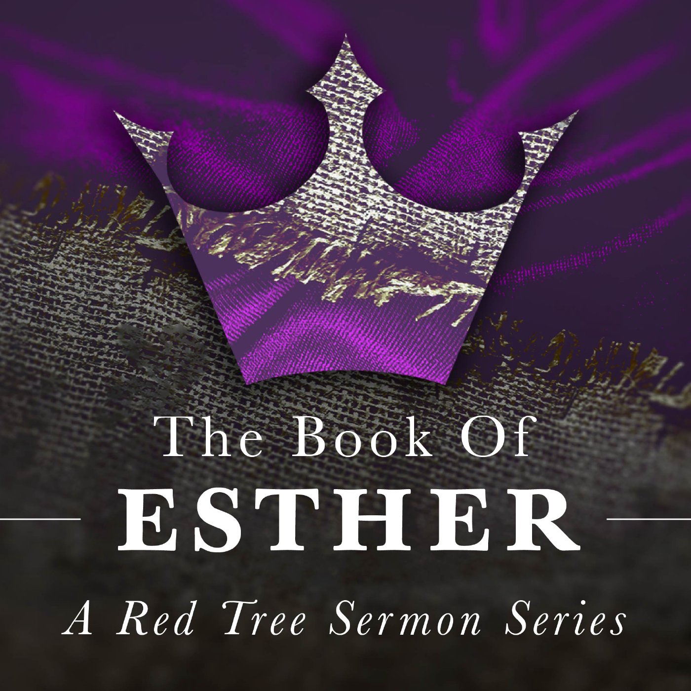 Esther 8:1-9:19 (The Reverse Occurred)Gathering