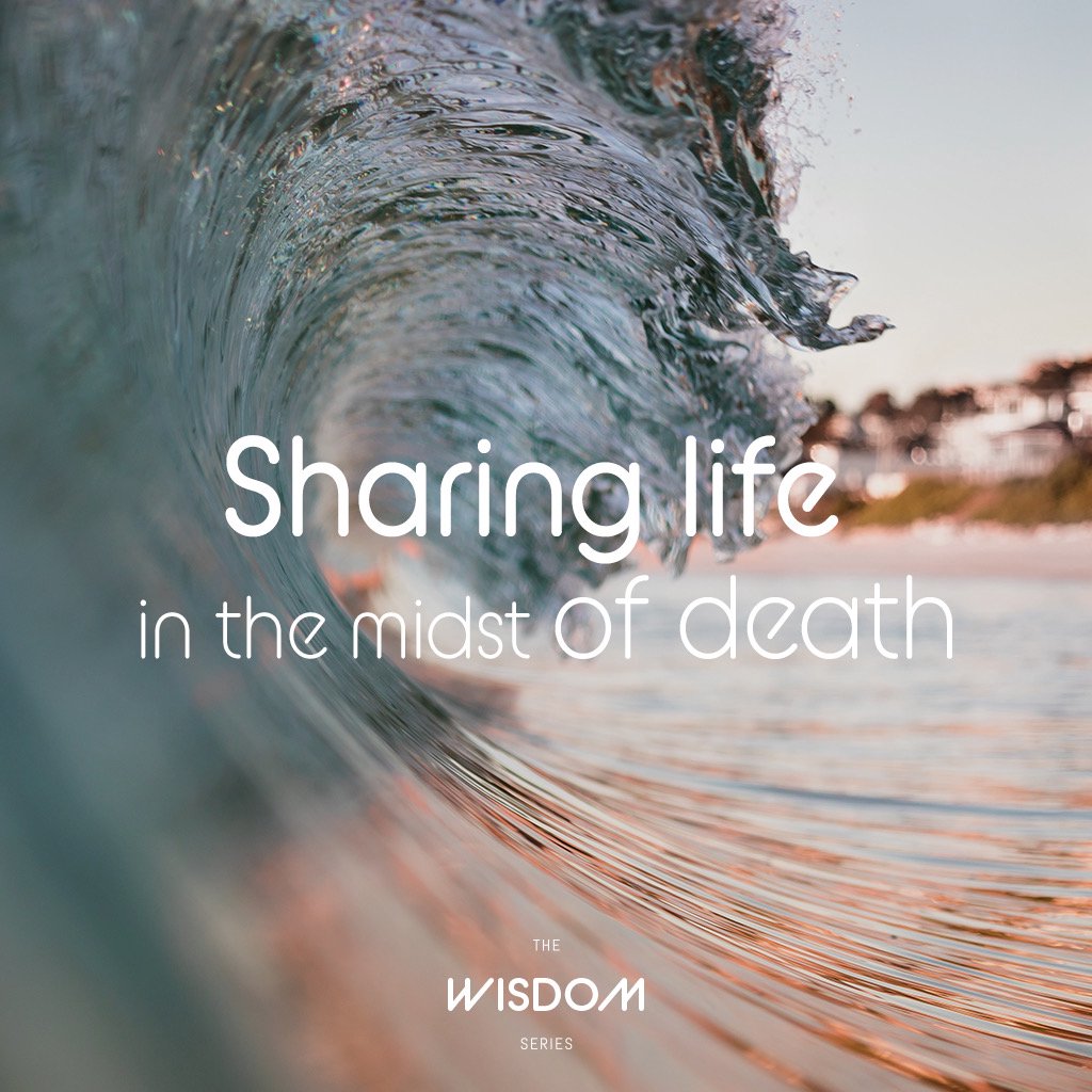 Sharing Life in the Midst of Death episode artwork