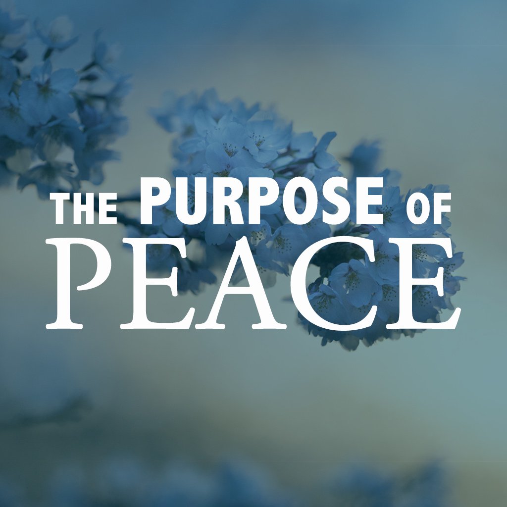 The Purpose of Peace episode artwork