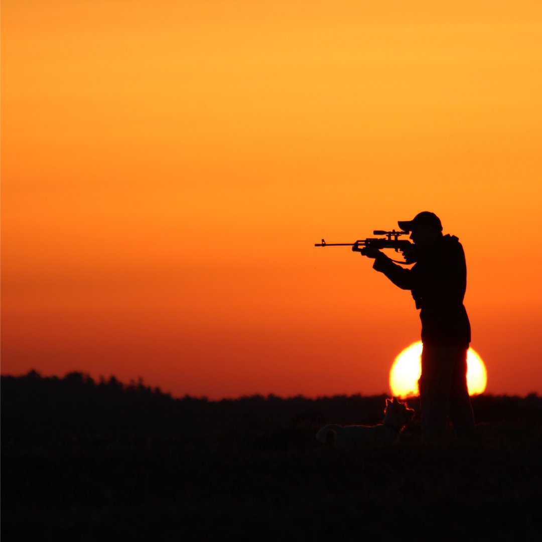 A Man's Formula for Absolute Happiness