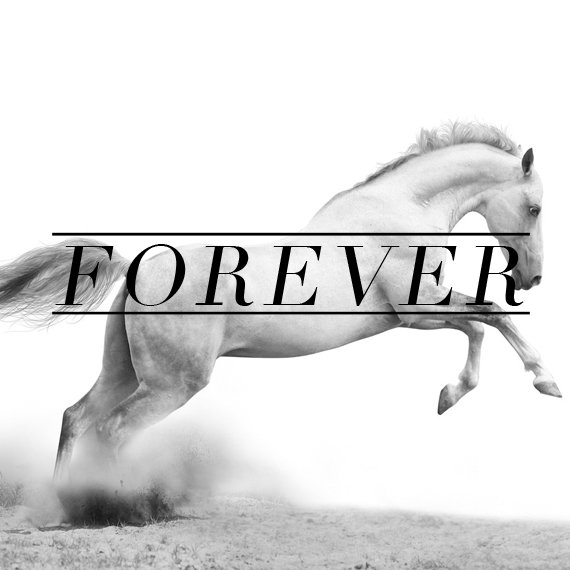 Forever - 4