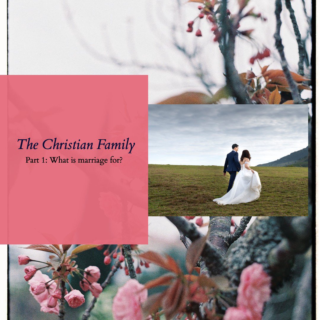 Part 1 - What Is Marriage For? (Genesis 2:18-25) episode artwork