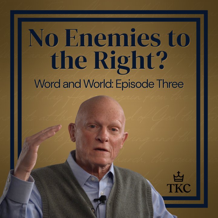 No Enemies to the Right? | Word and World: Episode Three episode artwork