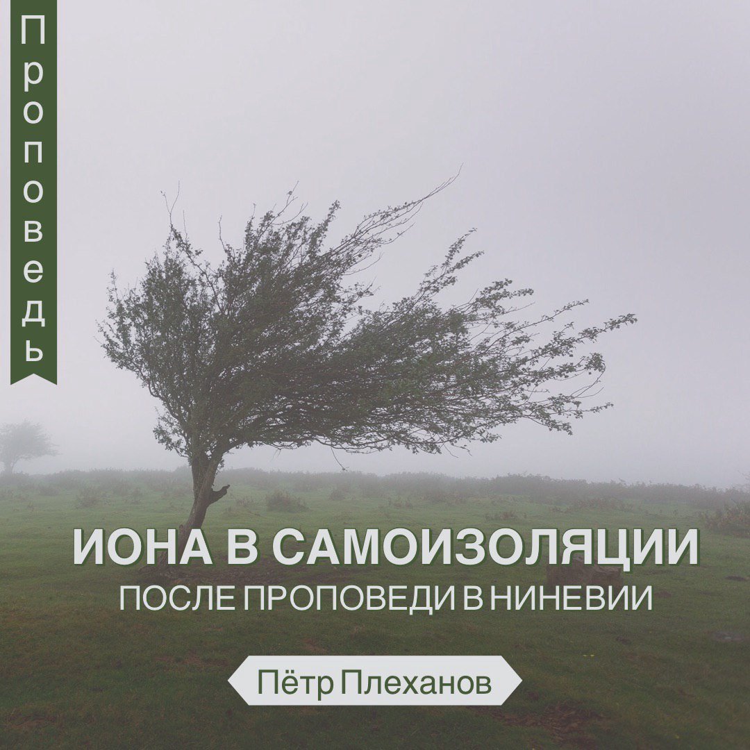 Иона в самоизоляции после проповеди в Ниневии  🐳 episode artwork