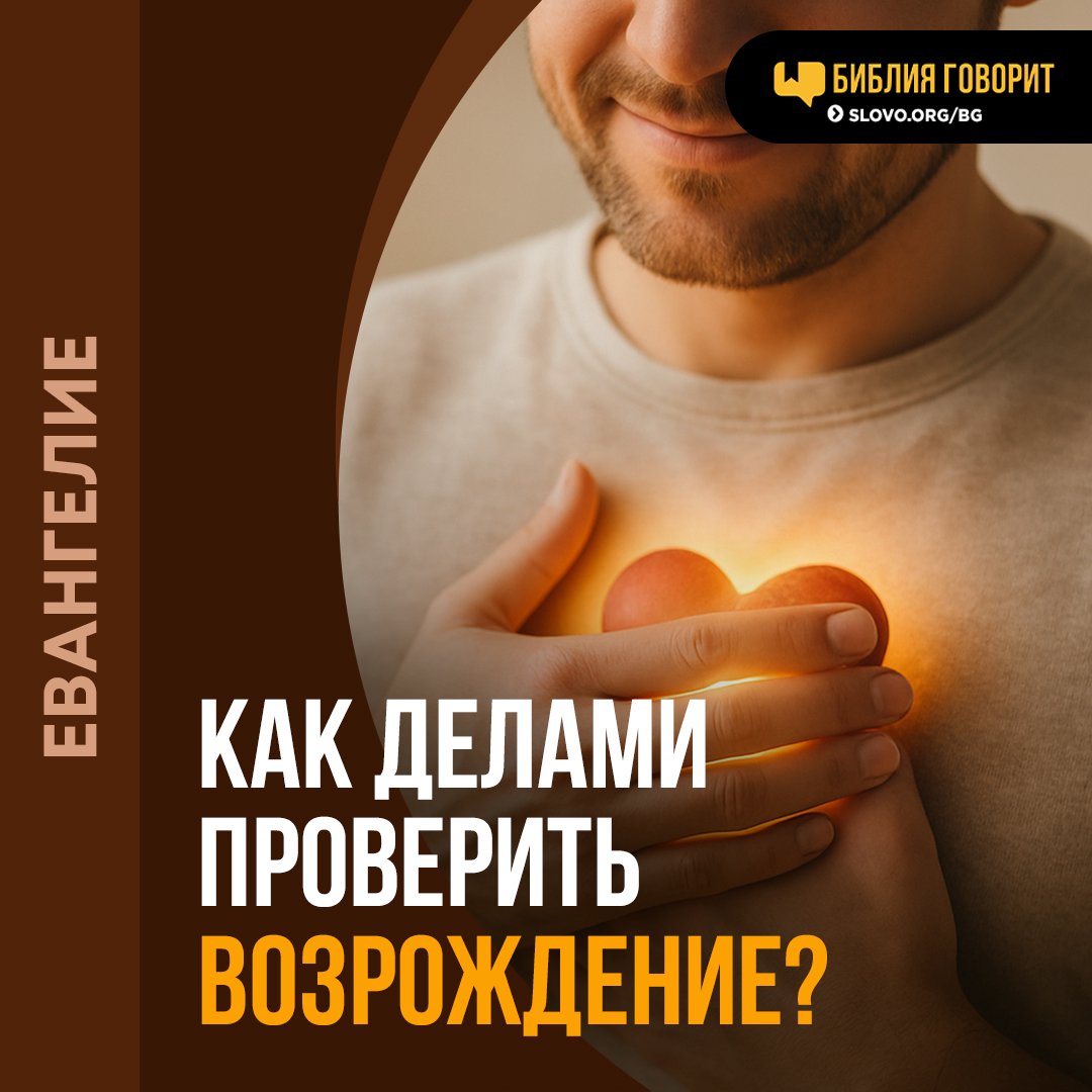 Какие дела нужны для подтверждения возрожденного сердца?