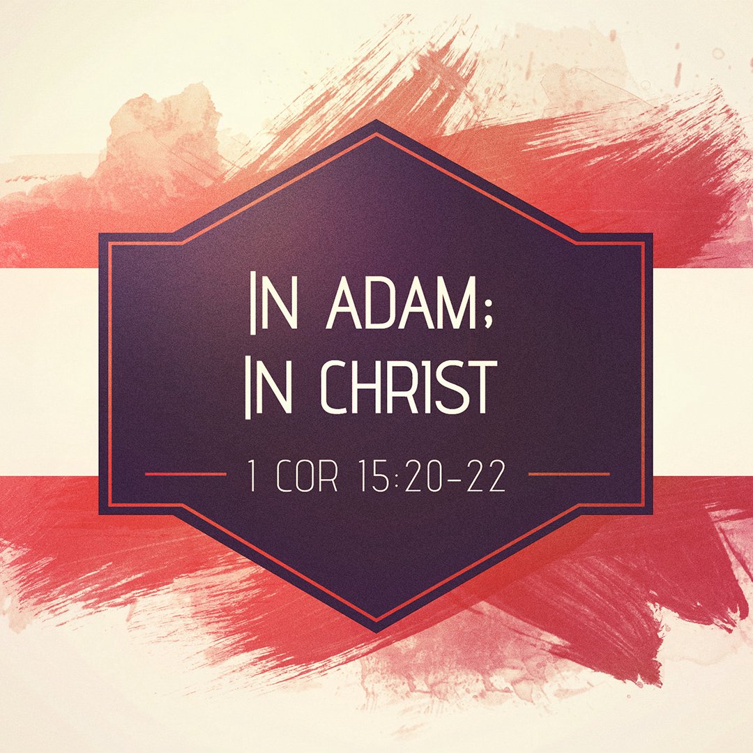In Adam; In Christ episode artwork