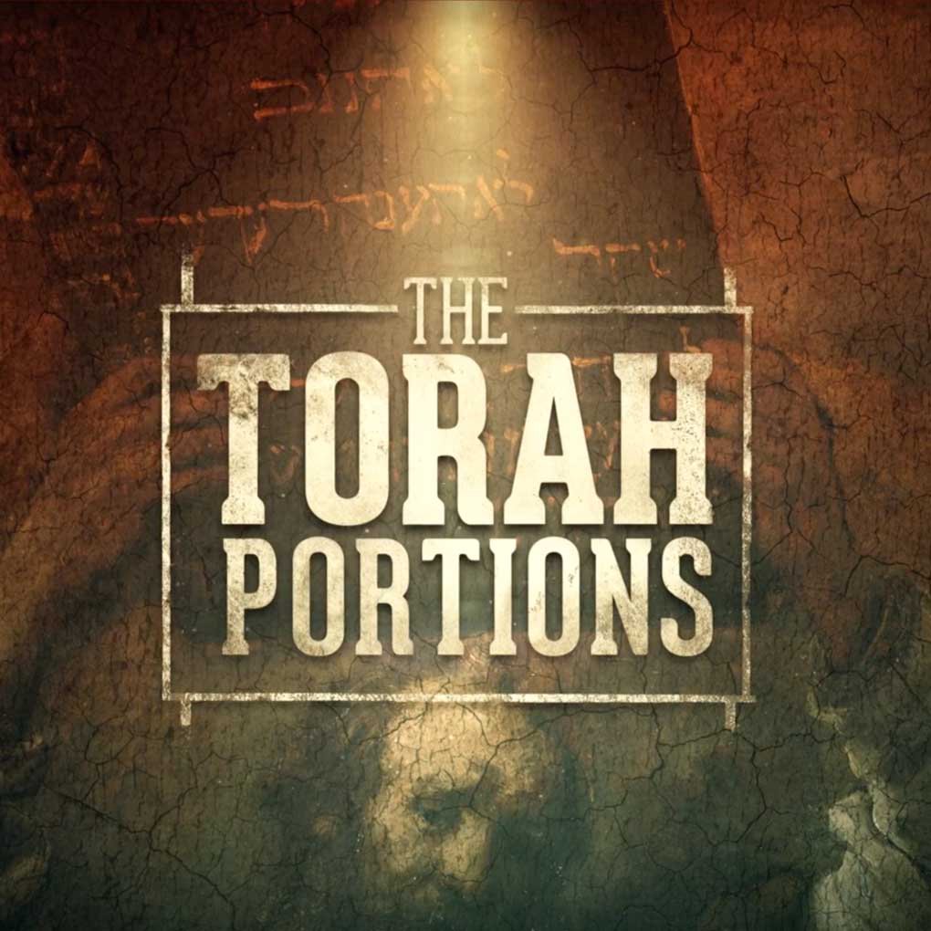 The Torah Portions 30