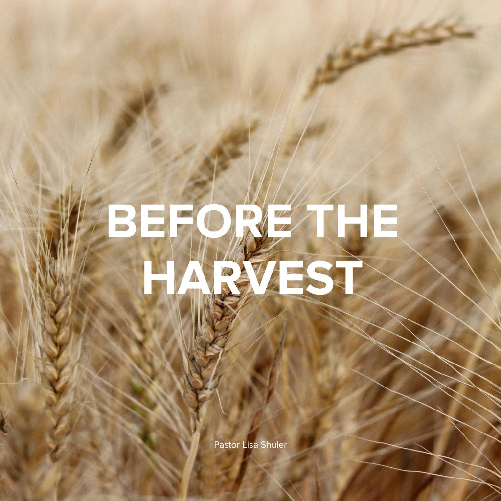Before the Harvest episode artwork