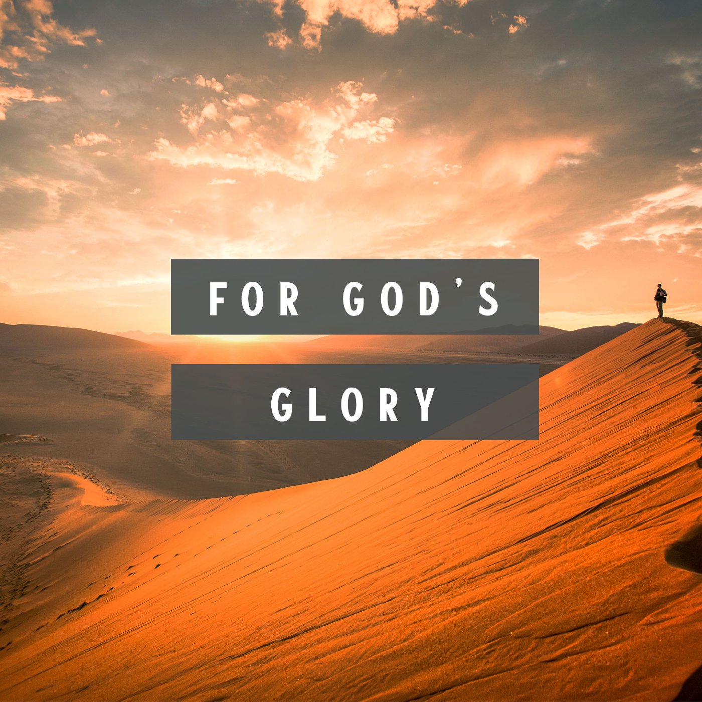 The Garden Fellowship
