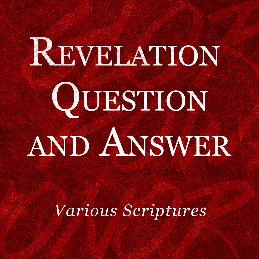 Revelation Question and Answer episode artwork