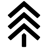 North Pines Church Logo