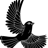 Searock Logo
