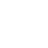 PP S Logo