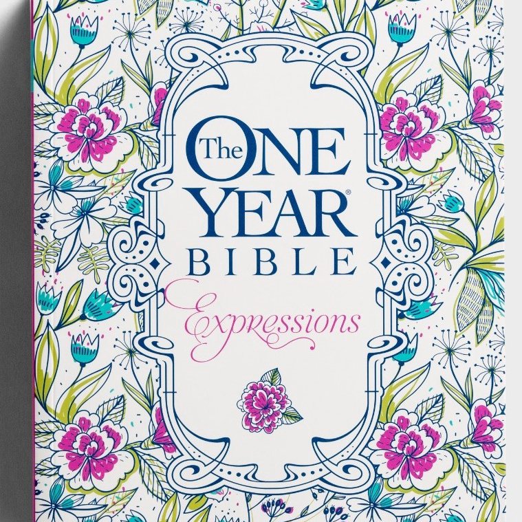 One Year Bible - Dream Big Today!