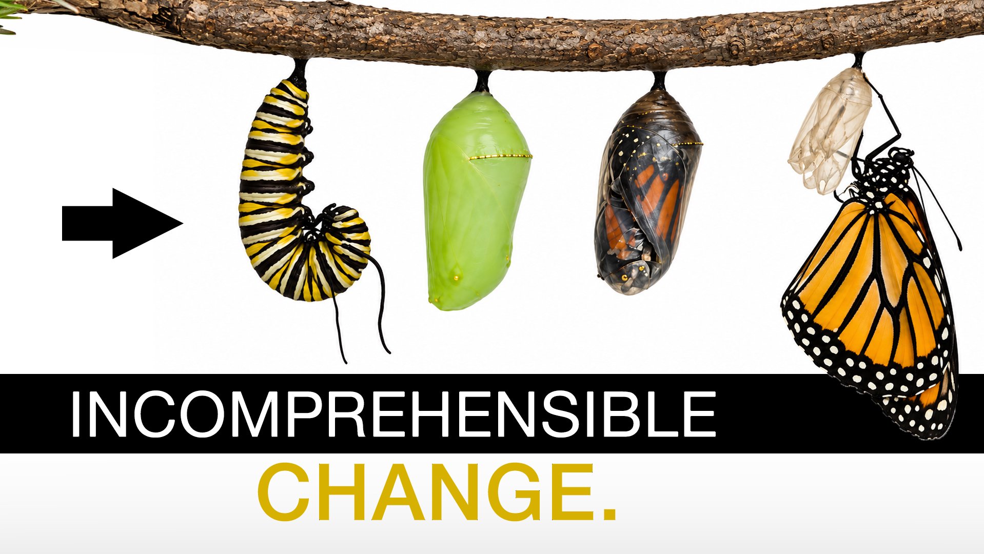 Incomprehensible Change series artwork