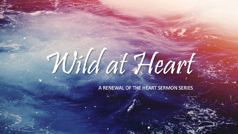 Wild At Heart | Church in Clermont FL | South Lake Church of Christ